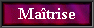 maitrise iup management